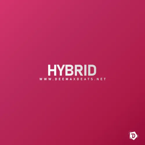 Cover art for Hybrid