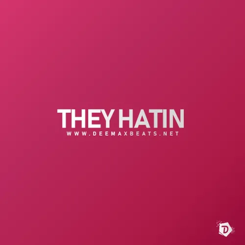 Cover art for They Hatin
